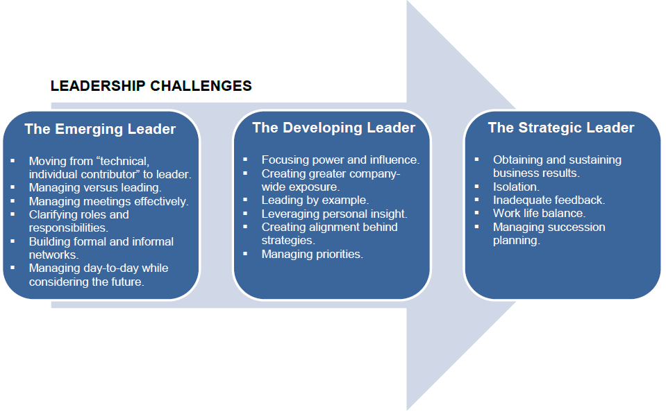 Three Phases of Leadership Development | The Working Report