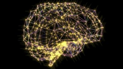 Neuroscience Tells Us How to Hack Our Brains for Success
