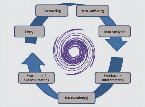 The Art and Science of Evaluating Organization Development Interventions