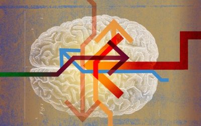 The Neuroscience of Changing Your Mind