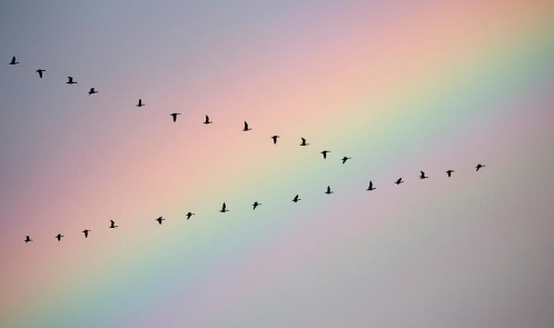 Are Hard Skills Or Soft Skills More Important To Be An Effective Leader?