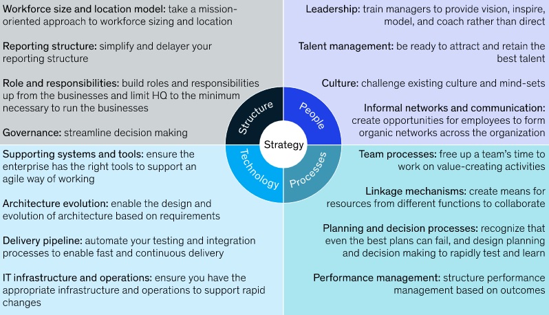 The journey to an agile organization