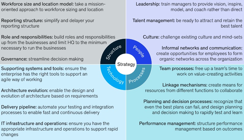 The journey to an agile organization