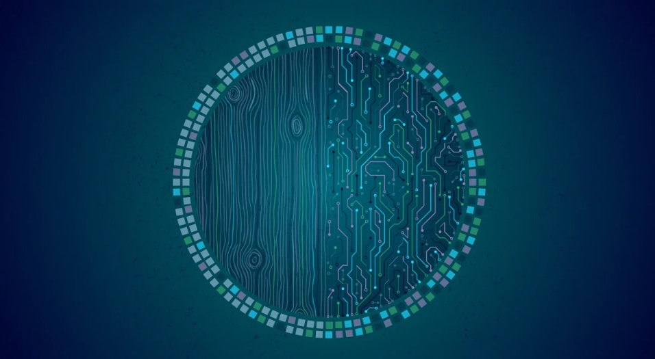 The tech-savvy board