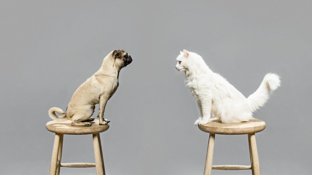 Making Empathy Central to Your Company Culture
