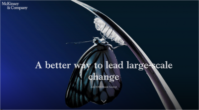 A Better Way to Lead Large Scale Change