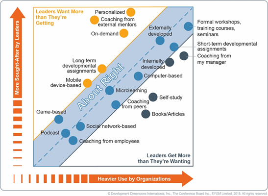 The Problem with DIY Leadership Development