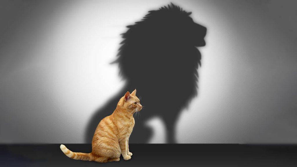 Hire Leaders for What They Can Do, Not What They Have Done